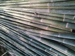 stack of green bamboo