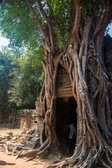 Towers of a prasat with the face of lokeshvara, with the facial features of Jayavarman VII in the...
