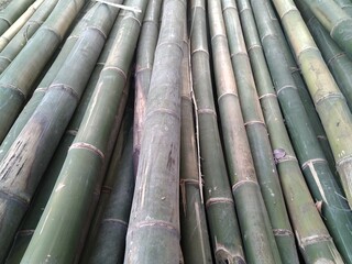 background of bamboo