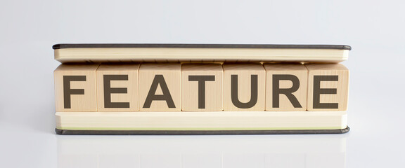Text FEATURE written on wooden building blocks on white background. Business concept.