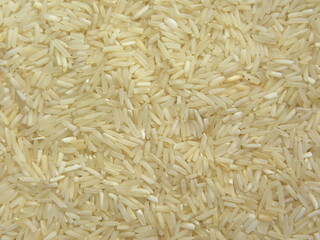 White raw Basmati rice