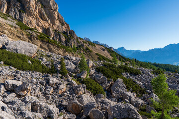 Close up of a small piece of rock. Dolomites, Italy. Selective focus