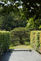 京都　桂　20150511