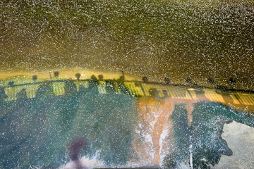 川に流れる散った桜