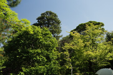 京都　桂　20150511