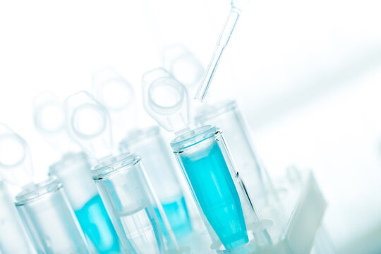 microbiological pipette in the genetic laboratory. study of a virus or vaccination. blue tinted.