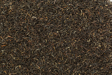 Leaves of black premium dry tea on a white background