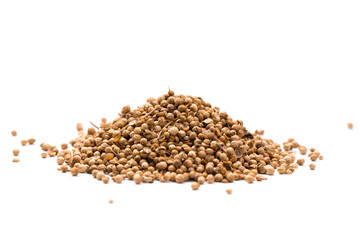 Coriander seeds isolated on white background