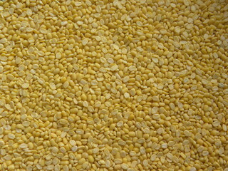 Yellow color dry split Mung dal lentils