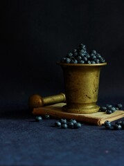still life with blueberries in a vase