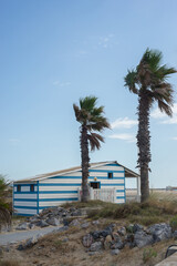 view of palm tree and wooden hut on the beach on blue sky background