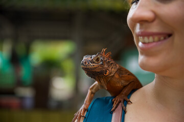 a huge brown iguana sits on the woman’s shoulder, the iguana’s eye is in focus, the zoo on...