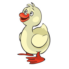 cute little duckling, cartoon illustration, isolated object on a white background, vector illustration,
