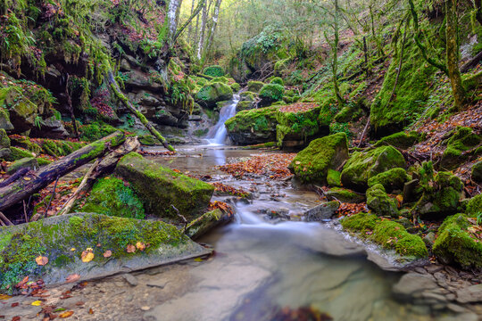 Stream of water in the autumn (Vallfogona de Ripolles, Catalonia, Spain).