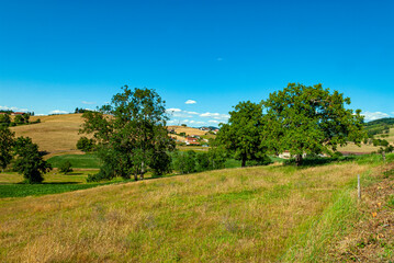 Fototapeta na wymiar Paysage de campagne autour du village de Ronno dans les montagnes de l'ouest du département du Rhône en France en été