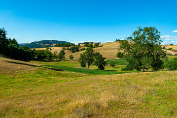 Fototapeta na wymiar Paysage de campagne autour du village de Ronno dans les montagnes de l'ouest du département du Rhône en France en été
