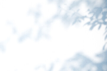 Abstract background of shadows leaves on a white wall. White and Black.