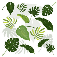 Tropical Leaves