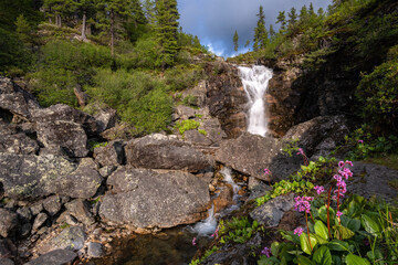 Naklejka na ściany i meble Beautiful landscape with a waterfall and flowers