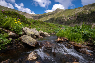 Mountain stream under Chersky peak, Khamar-Daban mountain range