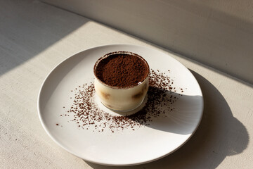 Tiramisu dessert isolated on grey background. Coffee and cacao.