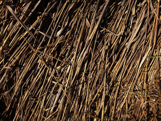 straw as abstract graphic background © photoidea