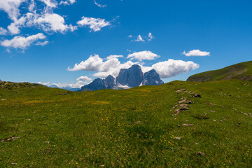 view of idyllic mountain scenery in the Alps with fresh green meadows in bloom on a beautiful sunny day in springtime, National Park Dolomite, Italy