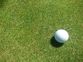 golf ball on a grassy golf course on a beautiful summer day - obrazy, fototapety, plakaty