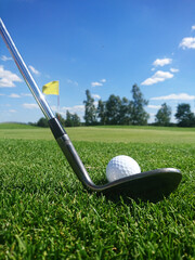 golf club and golf ball on a grassy golf course on a beautiful summer day - obrazy, fototapety, plakaty