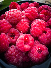 raspberries in a bowl