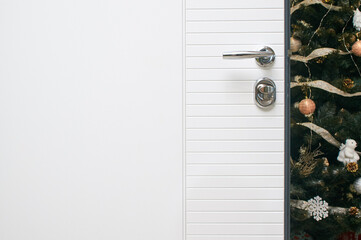 details entrance door finished with wood veneer white color