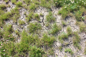 The soil was cracked due to drought and lack of rain.