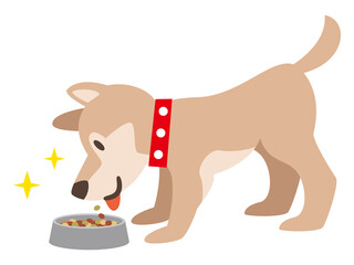 ドッグフードを食べる犬