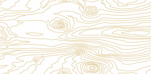 Seamless wooden pattern. Wood grain texture. Dense lines. Abstract white background. Raster copy - obrazy, fototapety, plakaty