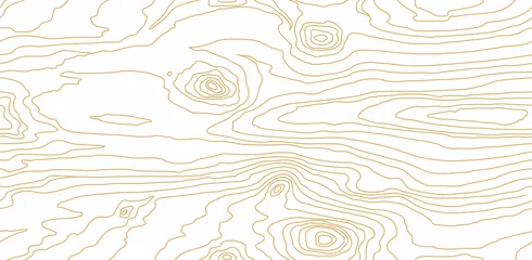 Tuinposter Seamless wooden pattern. Wood grain texture. Dense lines. Abstract white background. Raster copy © Юрий Парменов