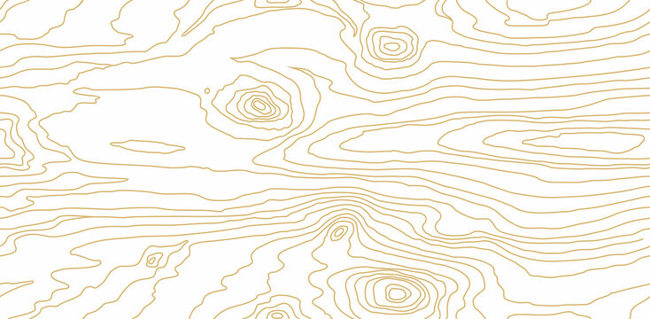 Seamless wooden pattern. Wood grain texture. Dense lines. Abstract white background. Raster copy