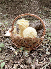 basket with knitting in the park