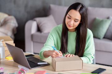 Close-up portrait of her she beautiful focused busy skilled girl seller packing parcel carton box trade retailer drop-shipping distribution e-commerce marketplace writing address deliver wfh office