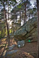 Felsformation im Wald