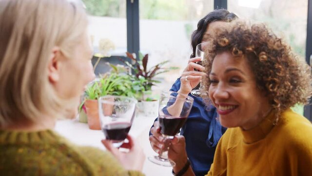 Group of mature female friends meeting at home and making a toast with wine together - shot in slow motion