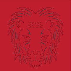 drawing of a lion's face