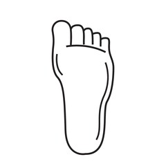 human foot