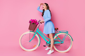 Full length body size profile side view of her she attractive cheerful wavy-haired lady riding bike wearing smart casual searching way direction journey rout isolated pink pastel color background