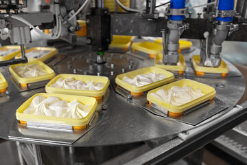 food industry and production concept - ice cream packaging automatic process
