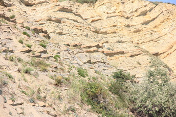 Sea, sun, pebbles, rocks and sand. Rest and tan. Endless shapes and shades.