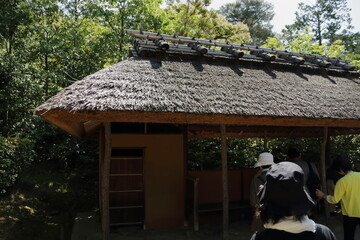 京都　桂　20150511