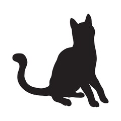 silhouette of a cat