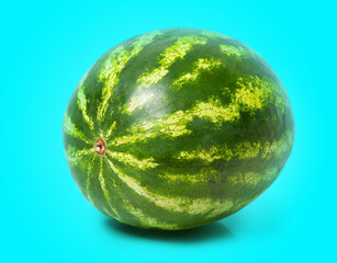 One watermelon isolated