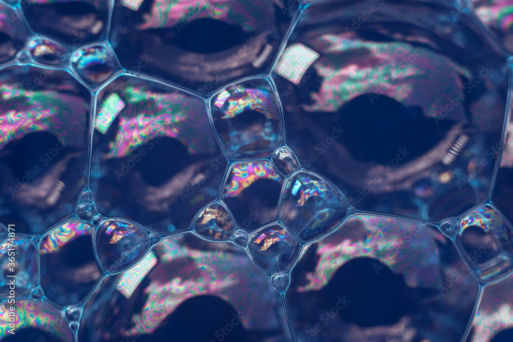 Aufkleber Beautiful abstract blue bubbles background pattern texture for design . Macro view.