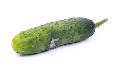 One defective spoiled cucumber